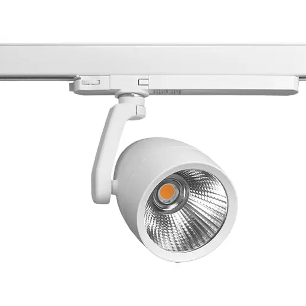 SP2210114 (+) - XXXP30W